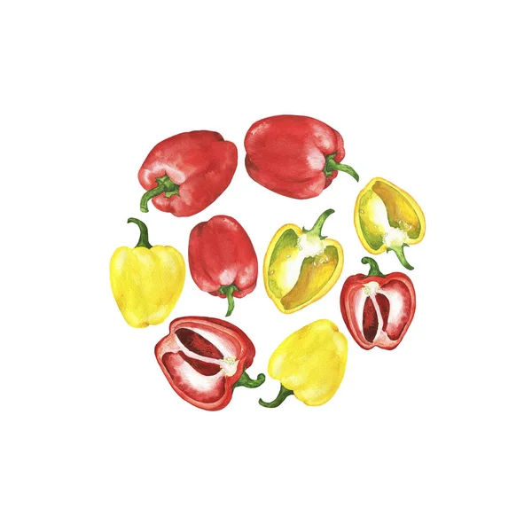 Close View Bright Peppers Illustration — Stock Photo, Image