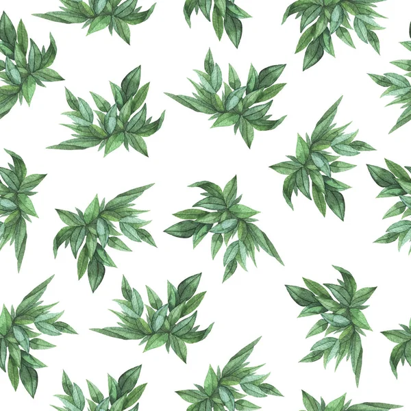 Beyaz arka planda yeşil yaprakları illüstrasyon görünümü yakın