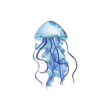 Beyaz arka planda izole edilmiş elle çizilmiş denizanası