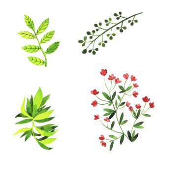 Renkli bitkilerin renkli el çizilmiş deseni 