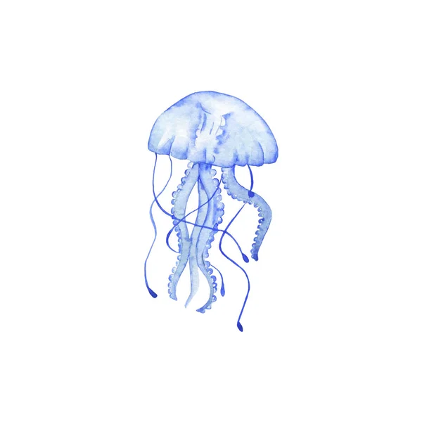 Ręcznie Rysowane Jellyfish Izolowane Białym Tle — Zdjęcie stockowe