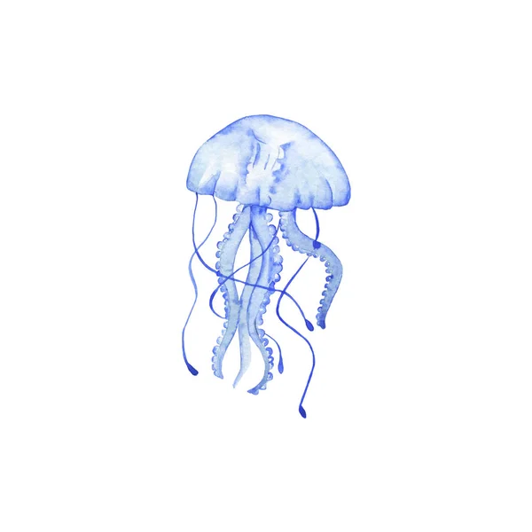 Meduse Disegnate Mano Isolate Fondo Bianco — Foto Stock