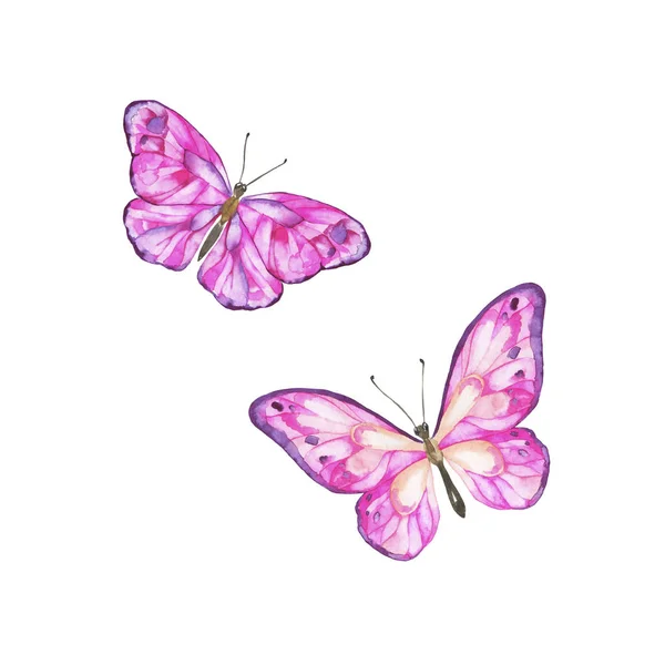 Красочная Ручная Иллюстрация Бабочками Печать — стоковое фото