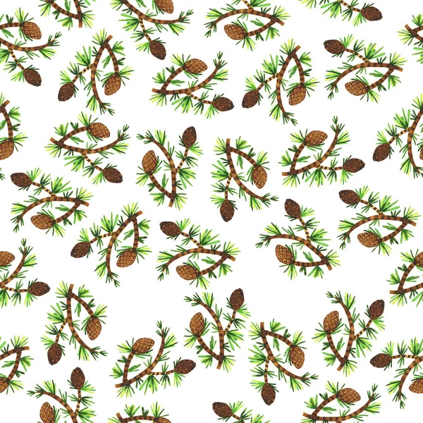 Colorful Hand Drawn Pattern Pine Tree Branches Pine Cones — Stockfoto