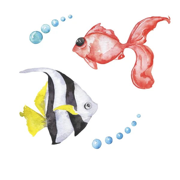 Hand Getekende Kleurrijke Illustratie Met Zeevissen — Stockfoto