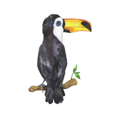 Beyaz arka planda parmak izi için elle çizilmiş tropikal kuş 