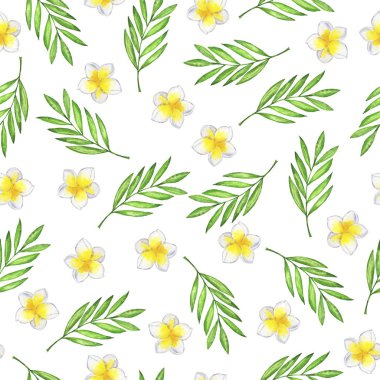 Beyaz plumeria çiçekleri ve beyaz arka planda yeşil palmiye yaprakları olan pürüzsüz bir desen. El çizimi suluboya çizimi.