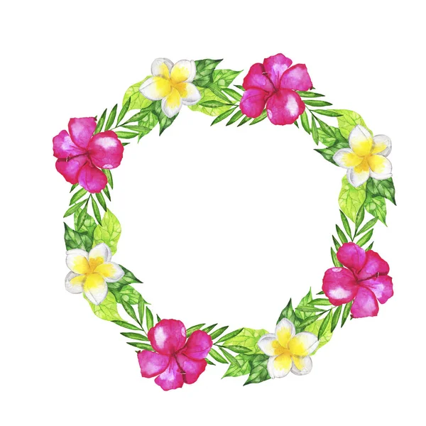 Summer Tropical Frame Flowers Leaves Isolated White Background Hand Drawn — Stock Photo, Image