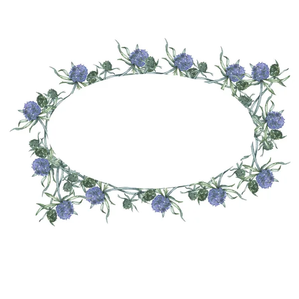 Marco Floral Azul Decorativo Verano Con Menos Malezas Aislado Sobre —  Fotos de Stock