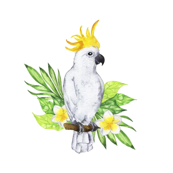 Hand Drawn Tropical Bird Print White Background — ストック写真