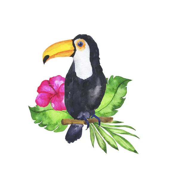 Hand Drawn Tropical Bird Print White Background — ストック写真