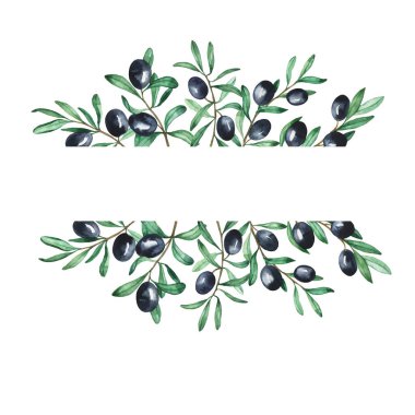 Siyah zeytin ve yeşil yapraklar beyaz arka planda izole edilmiş. El çizimi suluboya çizimi.