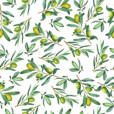 Yeşil zeytin dalları ve beyaz arka planda yaprakları olan pürüzsüz bir desen. El çizimi suluboya çizimi.