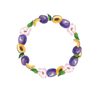 Beyaz arka planda yeşil yaprakları ve beyaz çiçekleri olan mor erikli yuvarlak çerçeve. El çizimi suluboya çizimi.