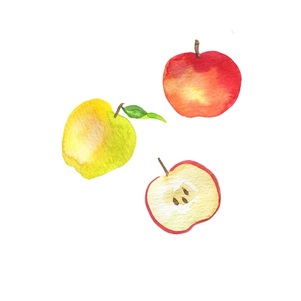 白い背景に隔離された新鮮な黄色と赤のリンゴのセット 手描き水彩画 — ストック写真