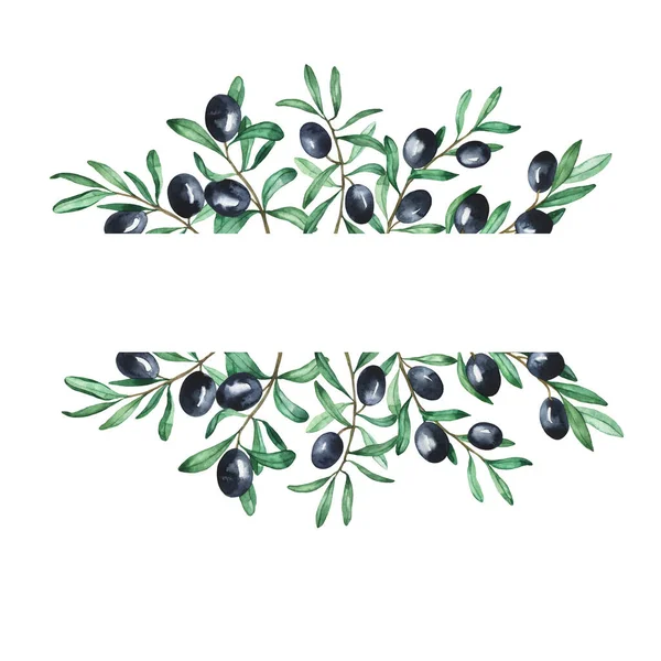 Black olives and green leaves border isolated on white background. Hand drawn watercolor illustration.