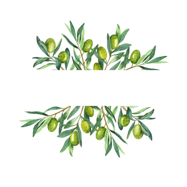 Zielone Gałązki Oliwne Frane Białym Tle Ręcznie Rysowane Ilustracja Akwarela — Zdjęcie stockowe