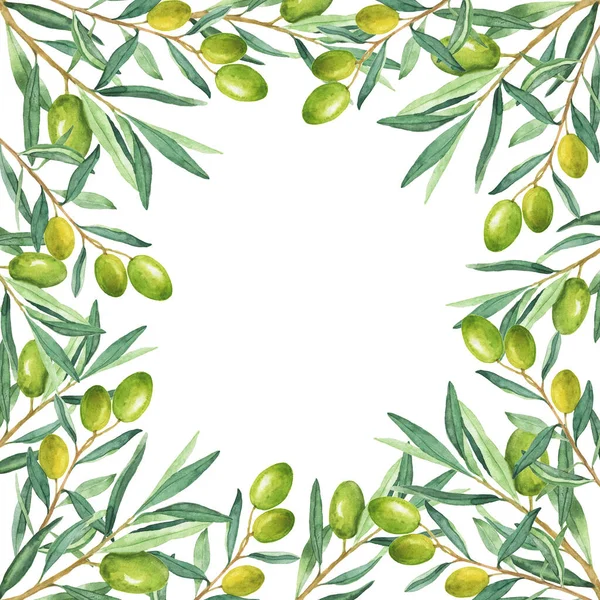 Zielone Gałązki Oliwne Granica Izolowane Białym Tle Ręcznie Rysowane Ilustracja — Zdjęcie stockowe
