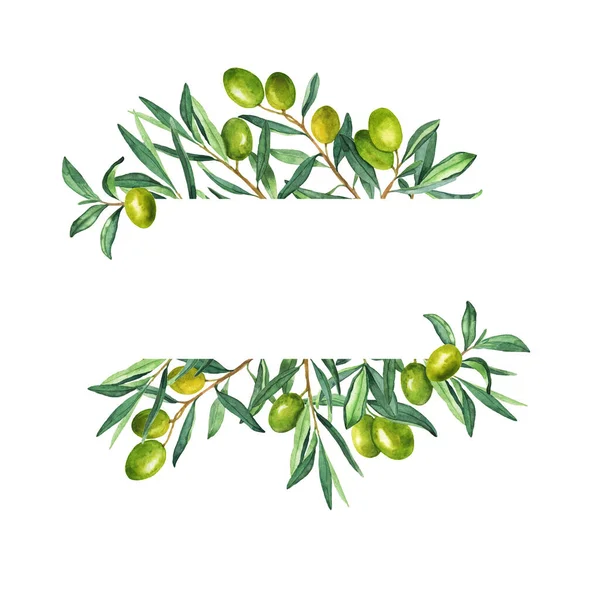 Green Olive Branches Frame White Background Hand Drawn Watercolor Illustration — Stock Photo, Image