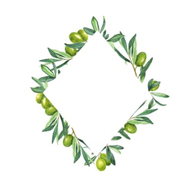 Çilekli yeşil zeytin dalları. El çizimi suluboya çizimi.