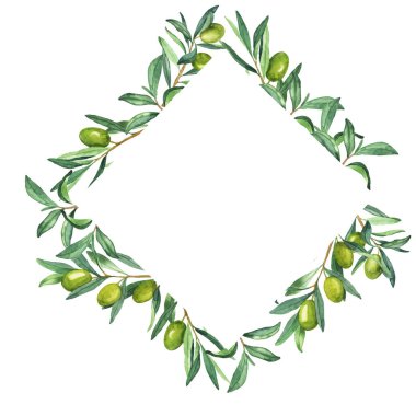 Yeşil zeytin dalları dekoratif çerçeve. El çizimi suluboya çizimi.