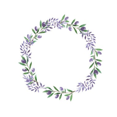 Dekoratif menekşe ve yeşil dallar beyaz arka planda izole edilmiş böğürtlen ve yapraklarla. El çizimi suluboya çizimi.