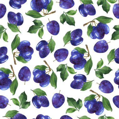 Mavi erik dalları ve beyaz arka planda yeşil yaprakları olan pürüzsüz bir desen. El çizimi suluboya çizimi.