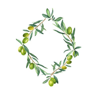 Yeşil zeytin dalları çerçevesi. El çizimi suluboya çizimi.