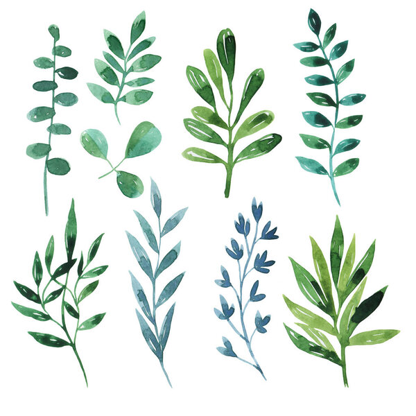 Декоративные зеленые и синие листья коллекции изолированы на белом фоне. Ручная рисованная акварель.