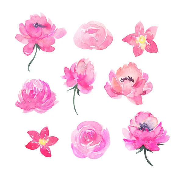 Декоративна Колекція Милих Рожевих Квітів Ручна Намальована Акварельна Ілюстрація — стокове фото
