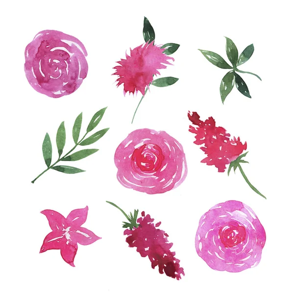 Набір Темно Рожевих Милих Троянд Квітів Листя Ізольовані Білому Тлі — стокове фото