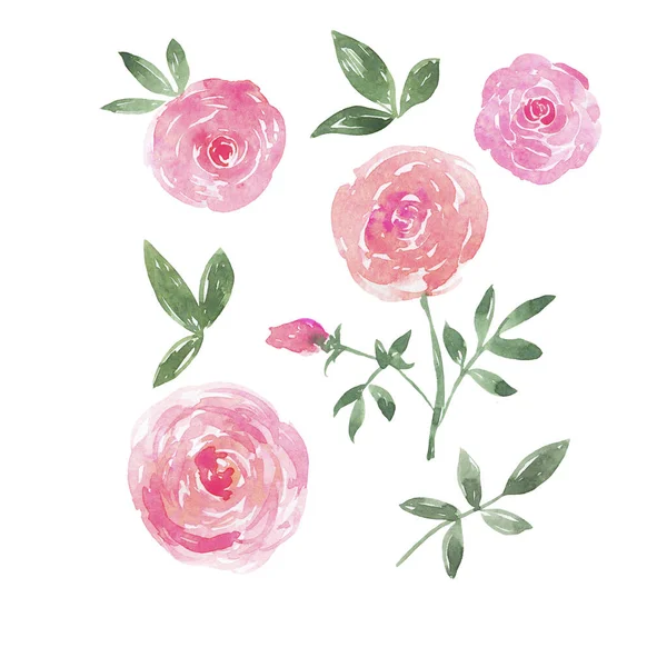 Набір Милих Рожевих Каракулів Троянди Квіти Гілки Зеленим Листям Білому — стокове фото
