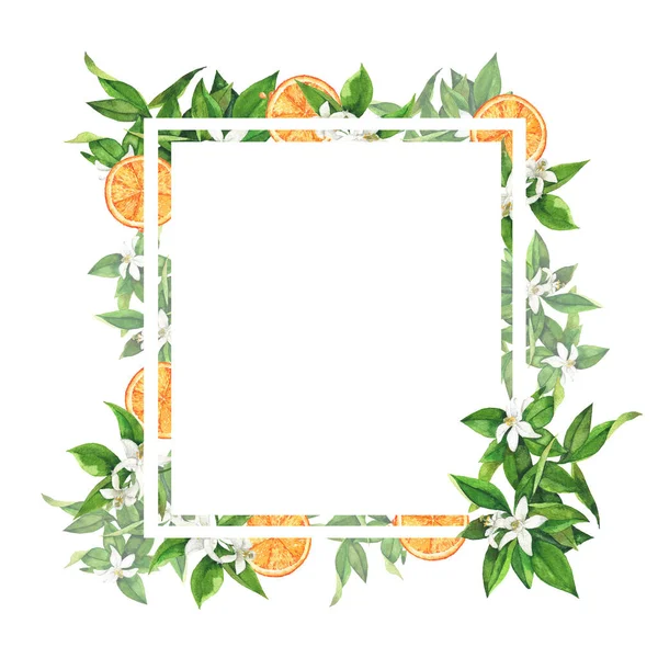 Fresh orange fruits, flowers and green leaves border on white background. Hand drawn watercolor illustration.