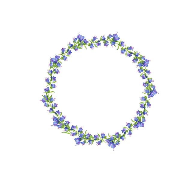 Moldura Flores Verão Azul Terra Das Ervas Daninhas Azuis Ilustração — Fotografia de Stock