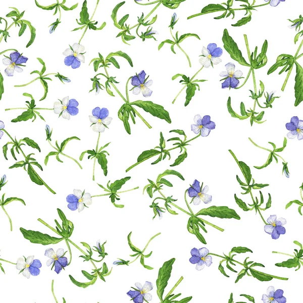 Padrão Sem Costura Com Flores Viola Azul Fundo Branco Ilustração — Fotografia de Stock