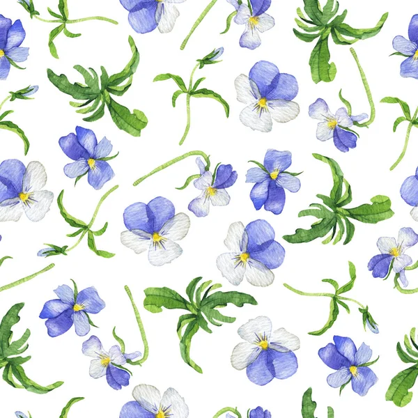 Padrão Sem Costura Com Flores Azul Viola Tricolor Fundo Branco — Fotografia de Stock