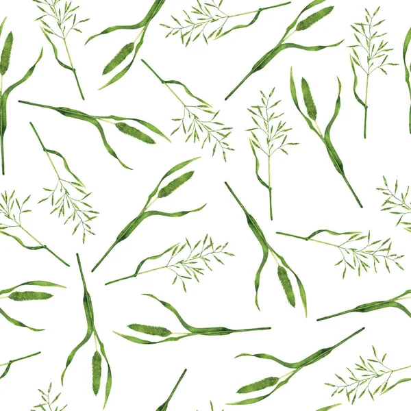 Nahtloses Muster Mit Grünen Sommerkräutern Auf Weißem Hintergrund Handgezeichnete Aquarell — Stockfoto