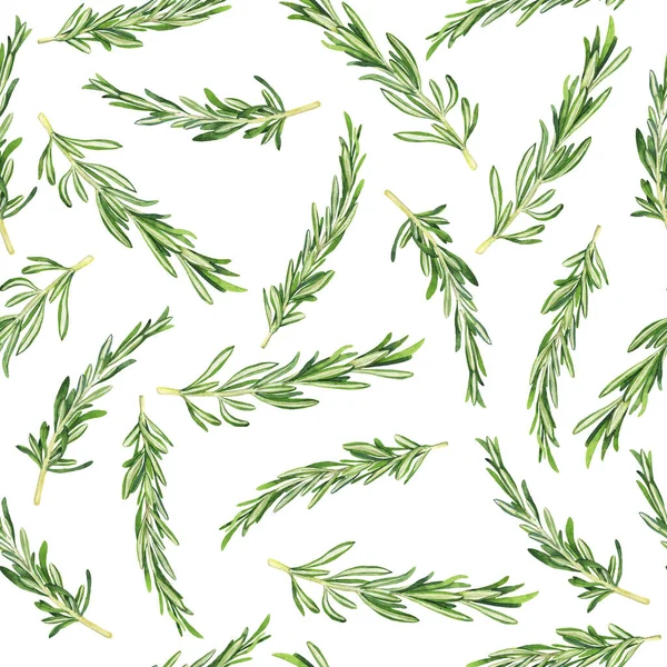 白い背景に緑色のローズマリーの枝を持つシームレスなパターン 手描き水彩画 — ストック写真