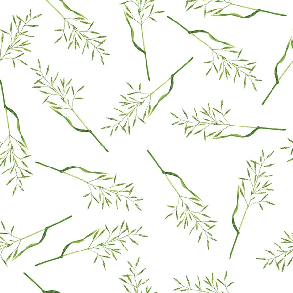 Nahtloses Muster Mit Sommerkräutern Auf Weißem Hintergrund Handgezeichnete Aquarell Illustration — Stockfoto