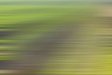 Aydınlatma gradyan hareketi arkaplanı bulanıklaştırdı. Renkli çizgiler desen duvar kağıdı