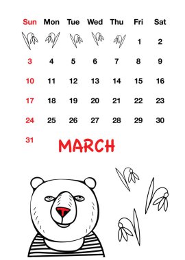 sevimli kırmızı burun ayı