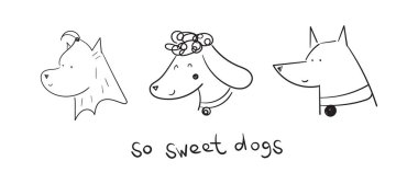 Köpek portreler doodle. Yorkshire korkunç, fino köpeği ve Doberman vektör çizim. Gülümsemek köpek yüzler.
