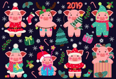 Set Yeni Yılınız kutlu olsun tatlı domuz kartpostal Çince. Yıl 2019 vektör illustrtion sembolü. Mutlu Noeller 