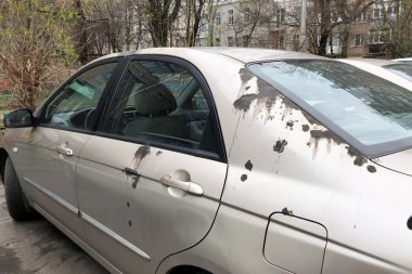 Vandallar arabayı çözücüyle şımarttılar. Arabanın yan gümüş yüzeyinde siyah aşınmış noktalar