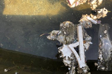 çeşmede su kirliliği. suyu kirletmeyi bırakın