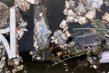Çöp bir suda yüzen - su kirliliği kavramı