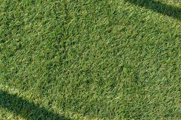 green Artificial turf with shadows. Green artificial grass background, Top view of Artificial lawn