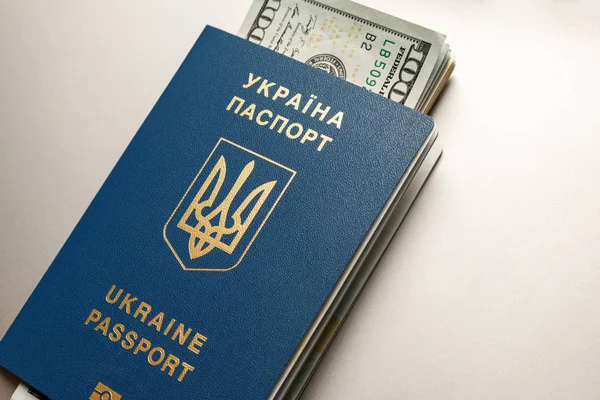 Ukraina Internasional Paspor Biometrik Dan Dolar Latar Belakang Baja Abu — Stok Foto