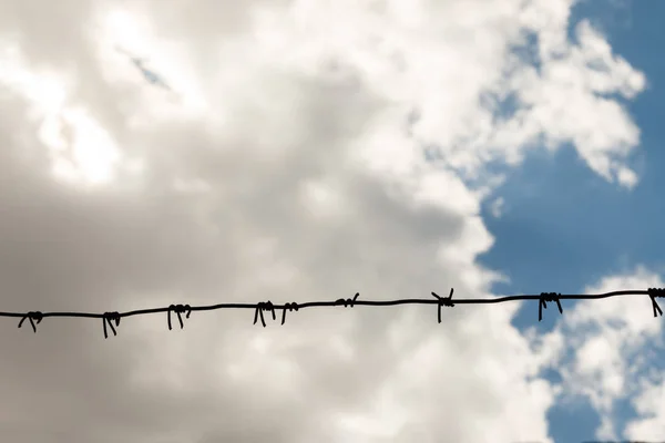 曇り空に対する有刺鉄線 投獄の概念 短く鋭いスパイクのクラスタを持つワイヤーは それに沿って間隔で設定され フェンスを作るために使用されるか または妨害として戦争で使用される — ストック写真