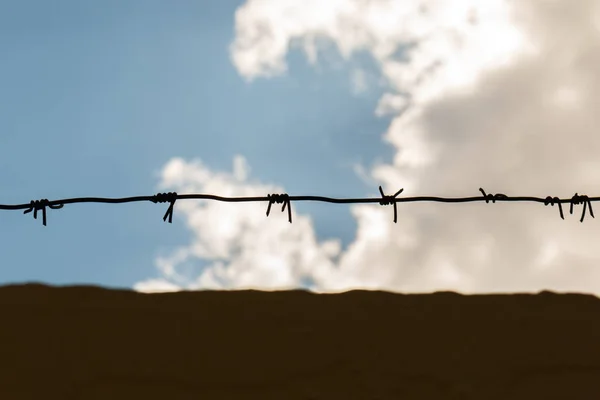 Cerca Alambre Púas Contra Cielo Azul Alambre Con Racimos Picos —  Fotos de Stock